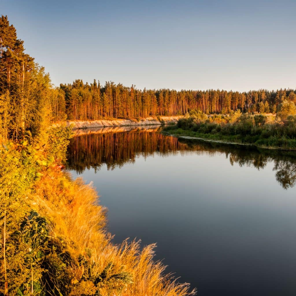 Produits de la région de la laine en Russie