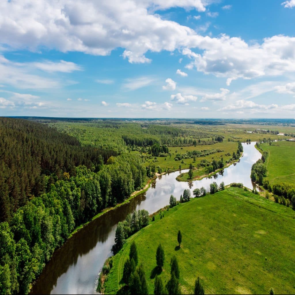 Produits de la région de la laine en Russie